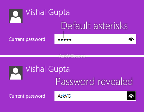 Windows 8 Password Icon